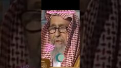 [ID: WMjcy5nVmj8] Youtube Automatic