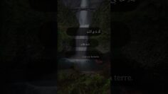 [ID: XzZmLqevDyo] Youtube Automatic