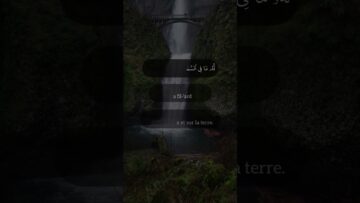 [ID: XzZmLqevDyo] Youtube Automatic