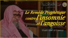 Privé : [ID: AbvFLE4W95U] Youtube Automatic