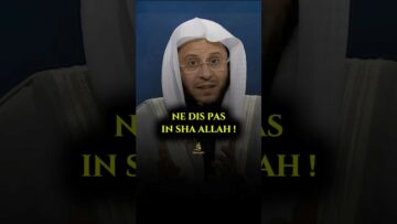 Privé : [ID: EqaASysIsWs] Youtube Automatic