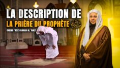 Privé : [ID: Zzmcso6BwTE] Youtube Automatic