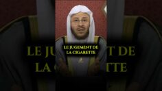 Privé : [ID: F8_yjHnHxzI] Youtube Automatic