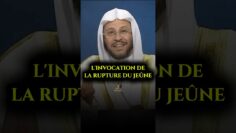 Privé : [ID: fsiJq1tXmNU] Youtube Automatic