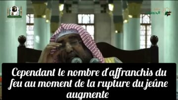 Privé : [ID: LdzbJVWm9Ns] Youtube Automatic