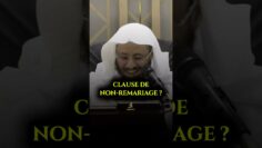 Privé : [ID: Rxx3TnXglrU] Youtube Automatic