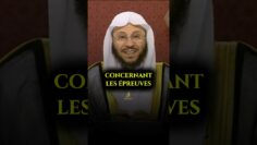 Privé : [ID: 8hlPEQPHuck] Youtube Automatic