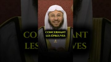 Privé : [ID: 8hlPEQPHuck] Youtube Automatic