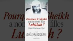 Privé : [ID: a5jq2woEJig] Youtube Automatic