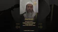 Privé : [ID: dUlyr95ESOM] Youtube Automatic