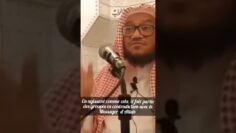 Privé : [ID: e4JKuoKh75Q] Youtube Automatic