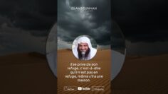 Privé : [ID: fl2hdvgzhNI] Youtube Automatic