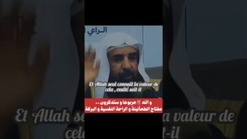 Privé : [ID: jdWZqvUut40] Youtube Automatic