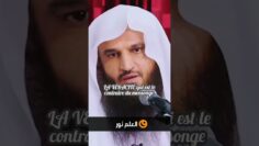 Privé : [ID: nZLOqHfKb0Y] Youtube Automatic