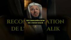 Privé : [ID: tTCTar5inMw] Youtube Automatic