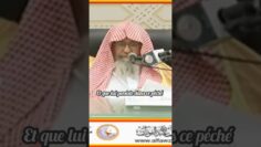 Privé : [ID: UOaBbBTzJ_g] Youtube Automatic