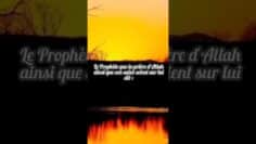 Privé : [ID: xQgtFOs5GWc] Youtube Automatic