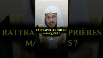 Privé : [ID: wPAwGPpoodA] Youtube Automatic