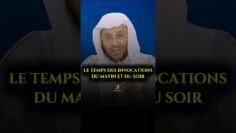 Privé : [ID: 6tuFMZnBvGI] Youtube Automatic