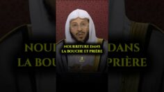 Privé : [ID: nsbHVmDivv0] Youtube Automatic